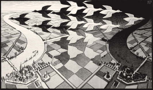 mostra Escher a Treviso
