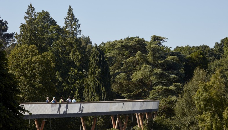 Camminando a tu per tu con gli alberi Glenn Howells Architects Stihl Treetop Walkway