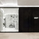 Lily Nails: pizzo nell'interior di Archstudio