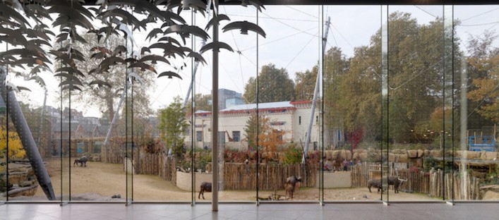 Studio Farris Architects Nuovi spazi per lo zoo di Anversa