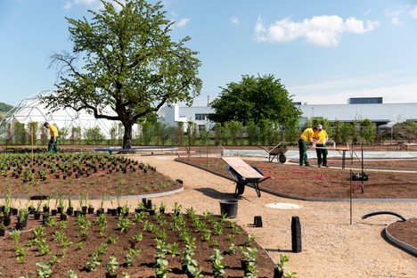 Piet Oudolf progetta il Perennial Garden del Vitra Campus di Weil am Rhein
