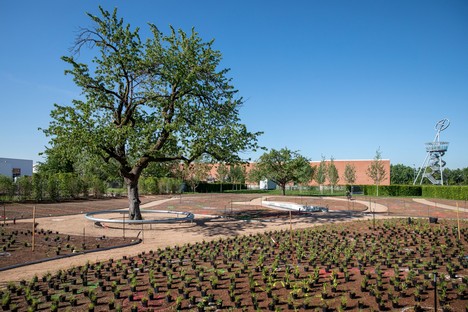 Piet Oudolf progetta il Perennial Garden del Vitra Campus di Weil am Rhein
