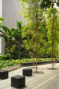 KPF grattacielo 18 Robinson Terrazze verdi sulla città di Singapore
