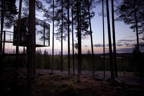 5 architetti scandinavi progettano Treehotel