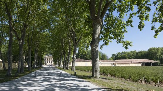 Foster+Partners a Chateau Margaux: ampliamento e riqualificazione