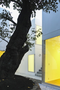 Chiba Manabu: Sugar housing in una galleria d’arte a Tokyo