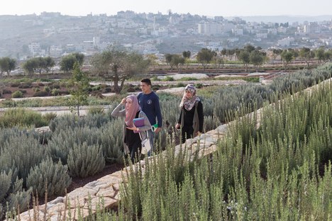 Heneghan Peng Architects: Il museo della Palestina a Birzeit