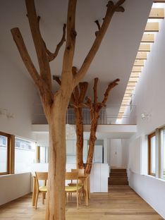 Ogawa: natura e architettura nella casa con alberi a Kagawa