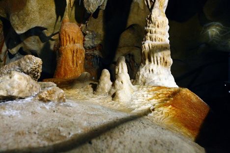 Apre la Caverne du Pont d'Arc, un viaggio nel tempo