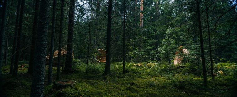 Estonia, dare voce al bosco.