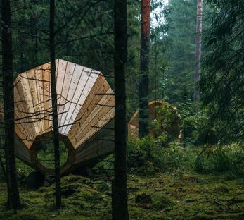Estonia, dare voce al bosco.