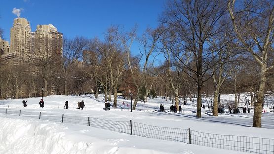Blizzard2016 – the day after con Livegreenblog a NYC
