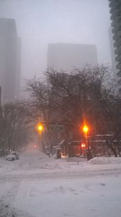 Blizzard2016 – the day after con Livegreenblog a NYC