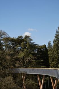 Treetop Walkway al National Arboretum di Westonbirt