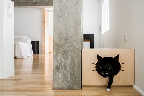 Appartamento con gatto di Miguel Marcelino