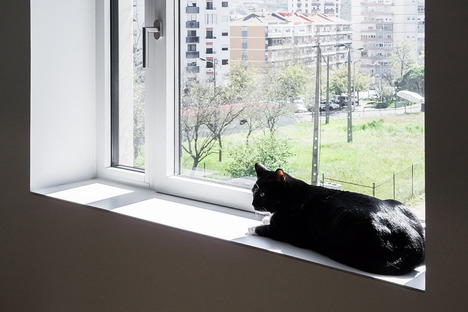 Appartamento con gatto di Miguel Marcelino