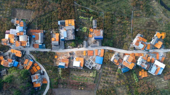 Fotografia aerea, raccolta di cachi in Cina