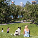 Nuova vita per il St. Patrick's Island Park, Calgary