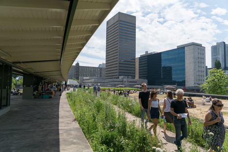Rotterdam Architecture Month e IABR