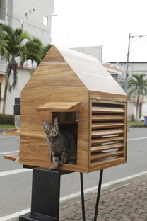 Ricovero temporaneo per animali abbandonati, Natura Futura Arquitectura