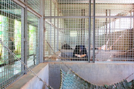 Atelier COLE e il santuario degli orsi in Vietnam