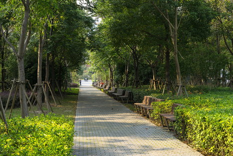 Un polmone verde, Jiading Park di Sasaki