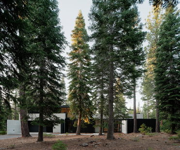 Forest House di Faulkner Architects, vivere nel bosco
