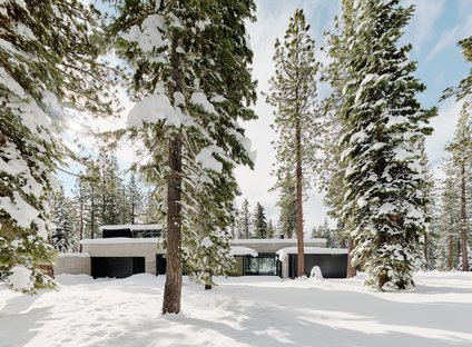 Forest House di Faulkner Architects, vivere nel bosco