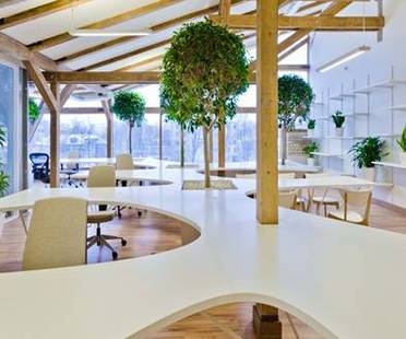 Office Greenhouse: uno spazio verde per lavorare.