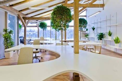 Office Greenhouse: uno spazio verde per lavorare.