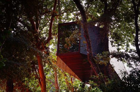 Architettura nel bosco: The Tree Snake Houses