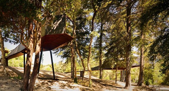 Architettura nel bosco: The Tree Snake Houses