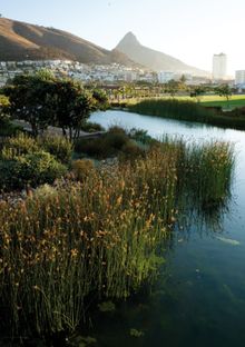 Green Point Urban Park, Cape Town, WDC 2014