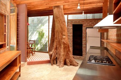 Progettare una cucina attorno ad un albero. Ghezzi Novak, Lima. 