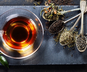 Viaggio nel tè: le sue proprietà fitofarmacologiche