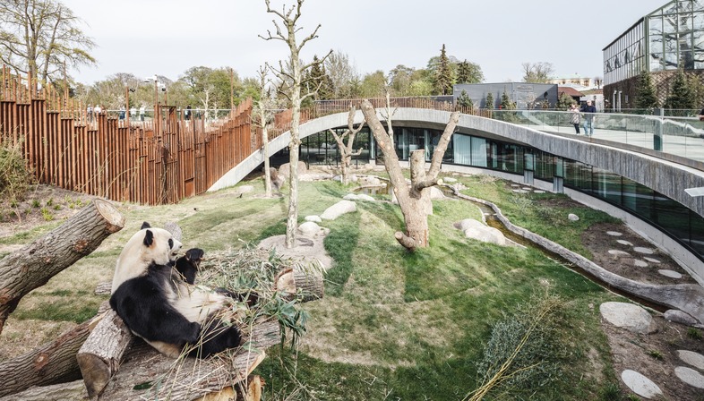 Casseri di bamboo per la Panda house yin e yan di BIG