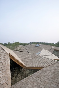 Forest building in lamellare, terra e cemento di TAO